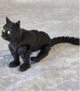 Zwarte kat
