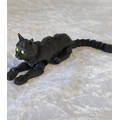 Zwarte kat